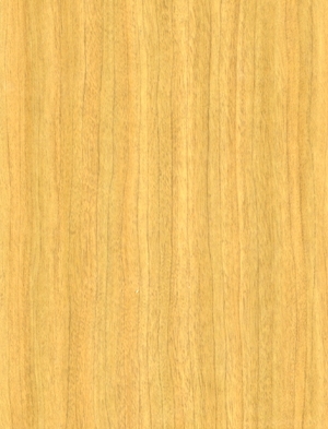 ModernWood Texture