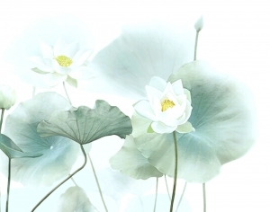 New Chinese StyleChinese Style Wallpaper