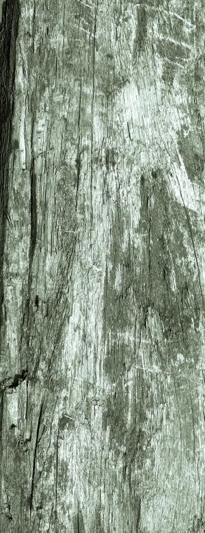 ModernWood Plank
