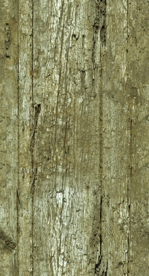 ModernWood Plank