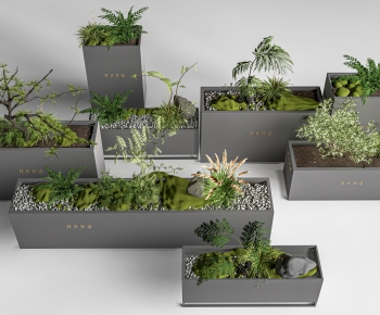 Modern Flower Bed, Flower Bowl, Flower Box-ID:592739115