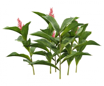 Modern Flowers And Grass-ID:204298026