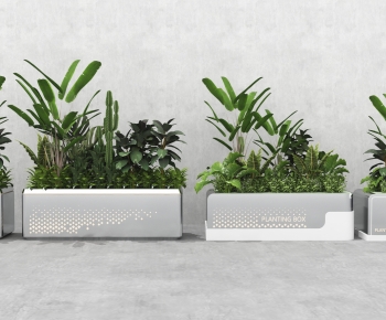 Modern Flower Bed, Flower Bowl, Flower Box-ID:848611124
