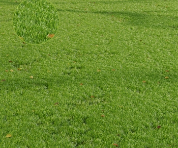 Modern The Grass-ID:376348973