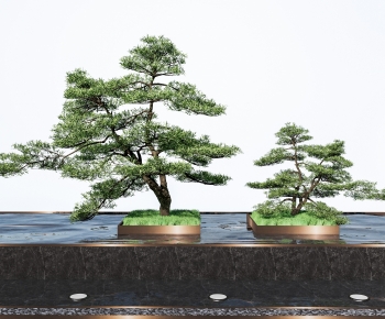 Modern Tree-ID:980117086