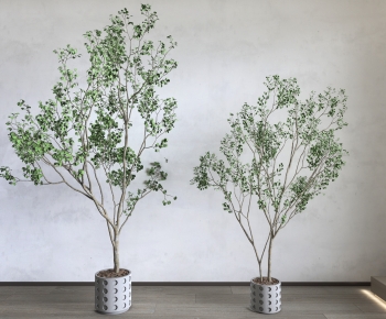 现代落地绿植盆栽组合-ID:615341904