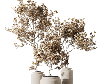 Modern Ground Green Plant Potted Plants-ID:311690092