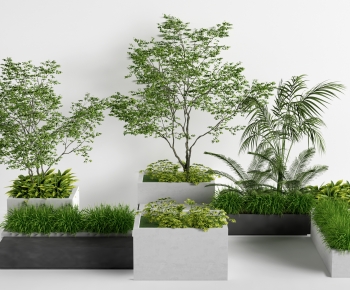 Modern Flower Bed, Flower Bowl, Flower Box-ID:742791895