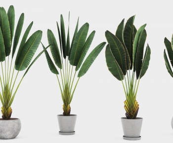 Modern Ground Green Plant Potted Plants-ID:406080964