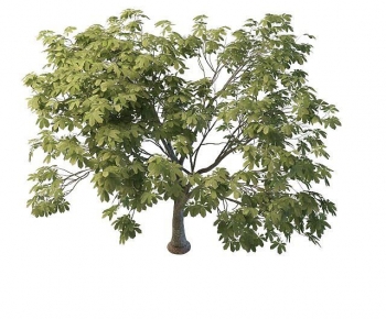 Modern Tree-ID:428440693