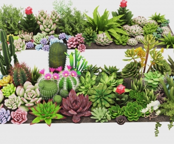 Modern Plant-ID:582556967