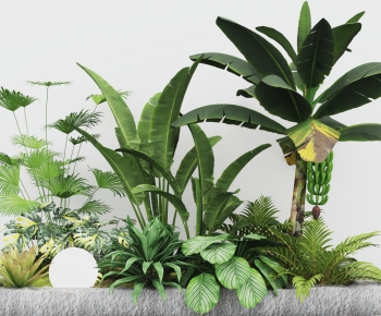 Modern Plant Landscaping-ID:622188097