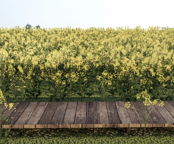 Modern Crop-ID:185745955
