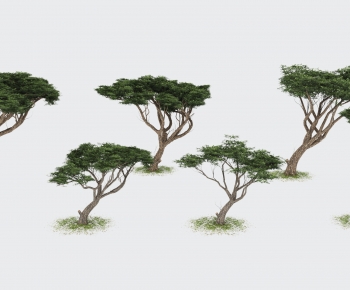 Modern Tree-ID:295445925