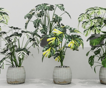 Modern Ground Green Plant Potted Plants-ID:102821118