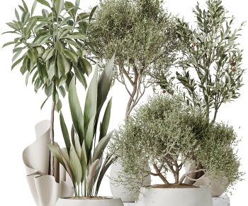 现代落地绿植盆栽组合-ID:694762959