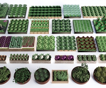 Modern Crop-ID:113277914