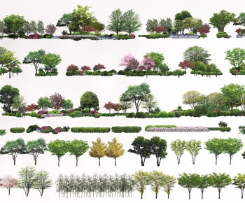 Modern Tree-ID:534106974