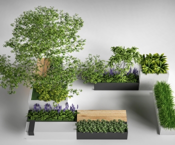 Modern Flower Bed, Flower Bowl, Flower Box-ID:309642089