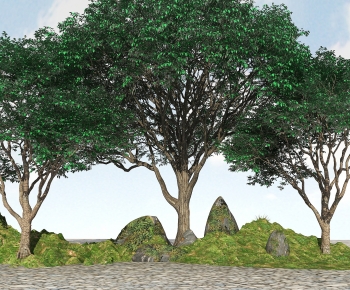 Modern Tree-ID:456533914