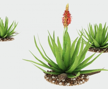 Modern Plant-ID:192795999