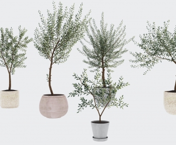 Modern Ground Green Plant Potted Plants-ID:458378085