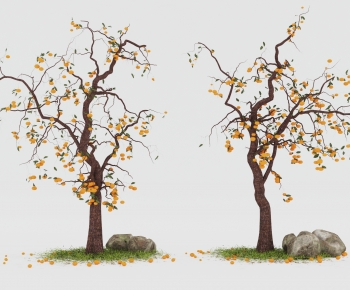 Modern Tree-ID:523080119