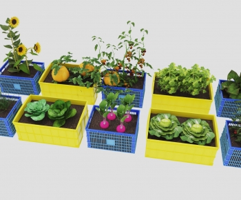 Modern Crop-ID:374084003