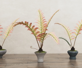 Modern Ground Green Plant Potted Plants-ID:897125963