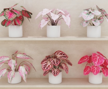 Modern Potted Green Plant-ID:105415119