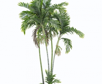 Modern Tree-ID:609307059