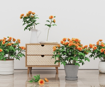 Modern Potted Green Plant-ID:460761074