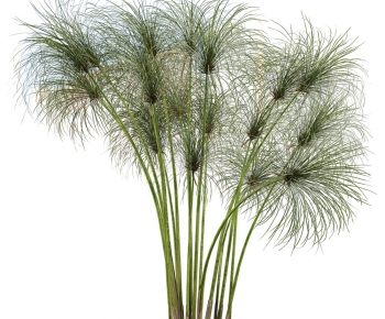 Modern The Grass-ID:867332944