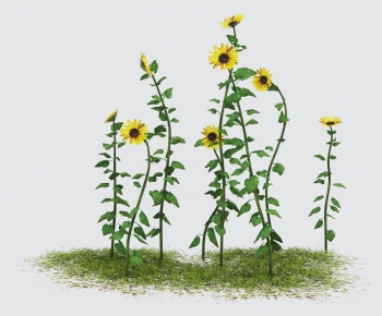 Modern Flowers And Grass-ID:804052116