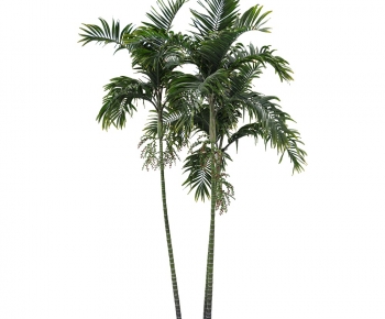 Modern Tree-ID:815368894