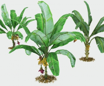 Modern Tree-ID:820735932