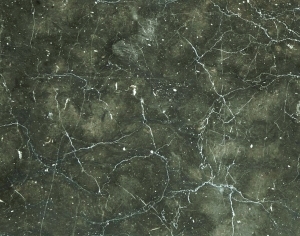 ModernMarble Tiles