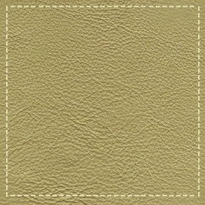 ModernFine Grain Leather