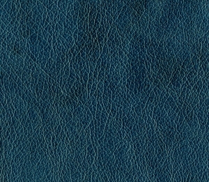 ModernFine Grain Leather