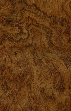 ModernWood Texture