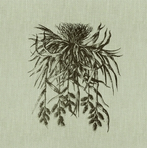 ModernOther Wallpapers