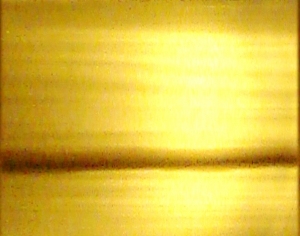 ModernOther Fabrics