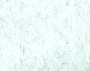 ModernPlywood Texture