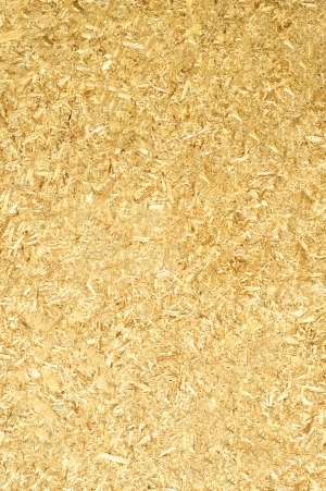 ModernPlywood Texture