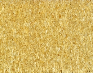 ModernPlywood Texture