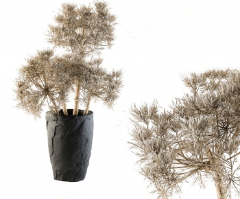 Modern Dried Branch-ID:656944042