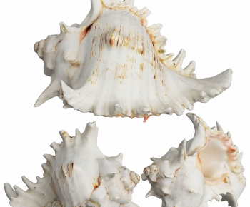 Modern Aquatic Animals-ID:265729411