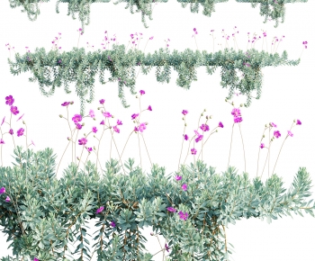 Modern Plant-ID:817357064