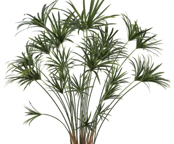 Modern Shrubbery-ID:682395942