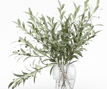 Modern Aquatic Green Plant-ID:772960907